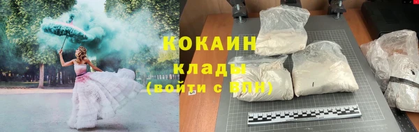 винт Богданович
