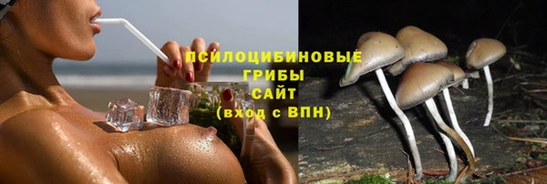 хмурый Верхний Тагил